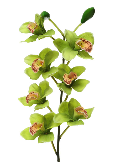 Artificial Flowers Green Cymbidium Orchid